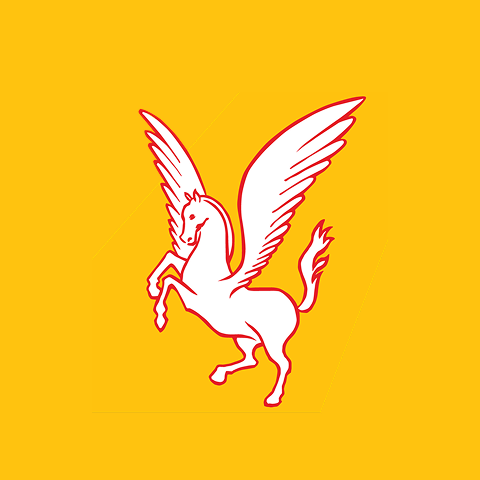 Pegasus Airlines
